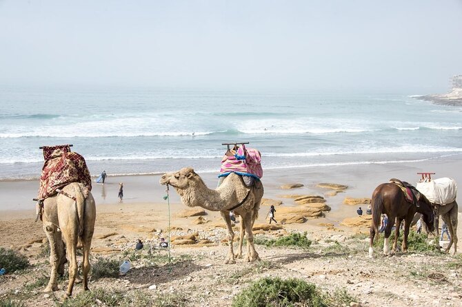 7 Nights Surf and Yoga Package in Morocco - Sunset yoga on the rooftop