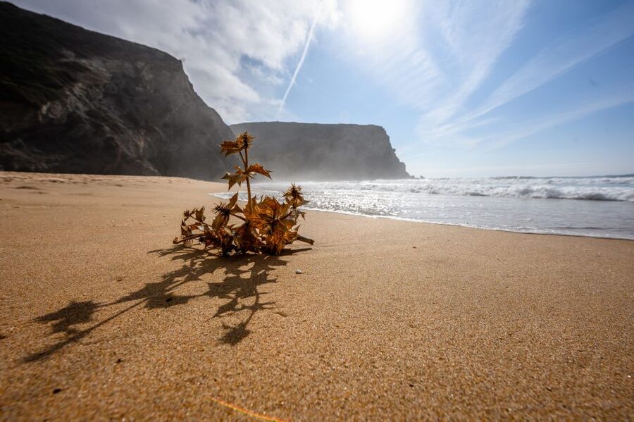 Algarve: Amazing Private Surf Lesson 2 hours - From Praia da Rocha to the day’s best beach