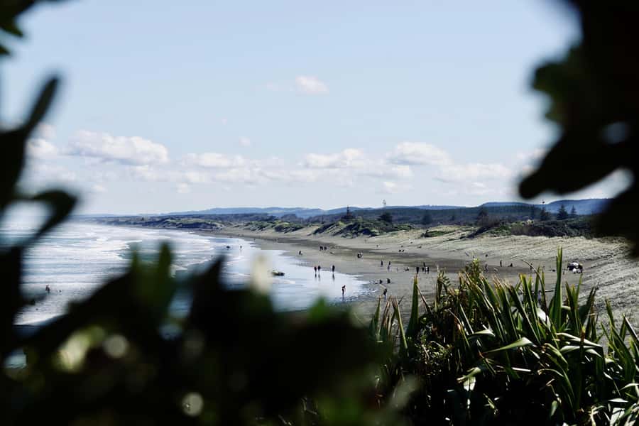 Auckland: Group Surfing Lesson with Muriwai Surf School - Group size, pace, and the real beginner experience