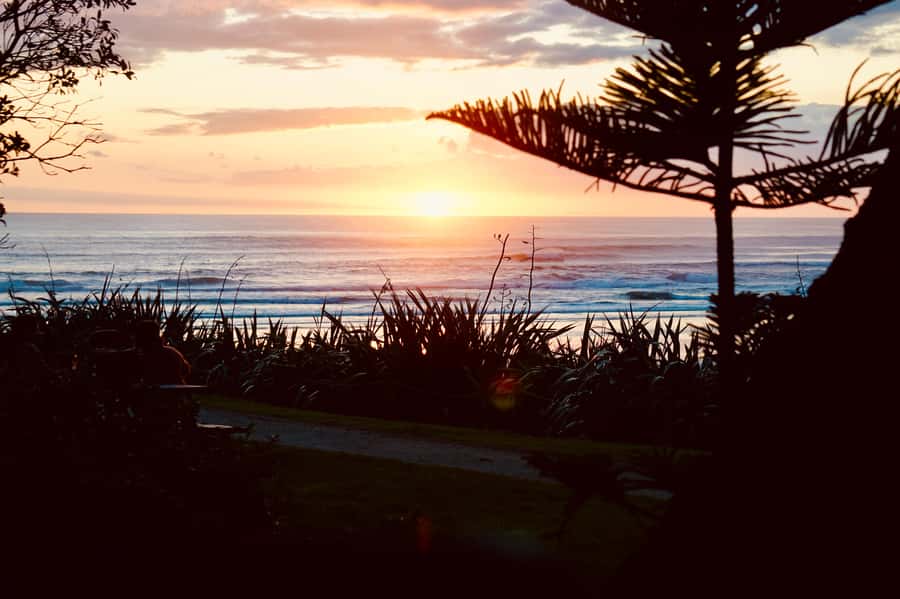 Auckland: Group Surfing Lesson with Muriwai Surf School - Who will enjoy this lesson most