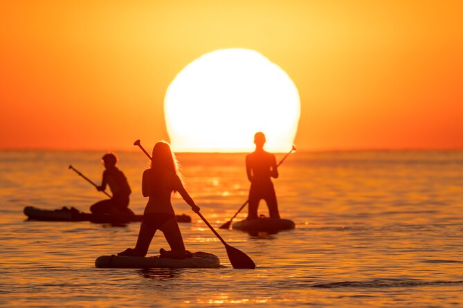 Barcelona: Sunrise Paddle Surf with Instructor and Photos - Watching Barcelona wake from the water