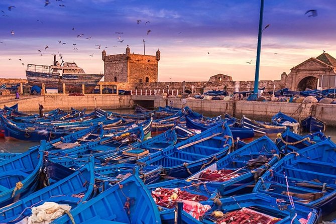 Essaouira – Every Surfer’s Dream (privé) - The 8:30 departure and the road toward the coast