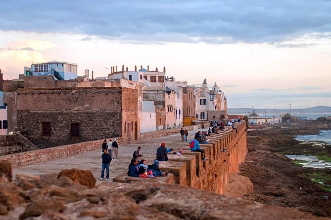 Essaouira – Every Surfer’s Dream (privé) - Argan trees and a product tied to southern Morocco