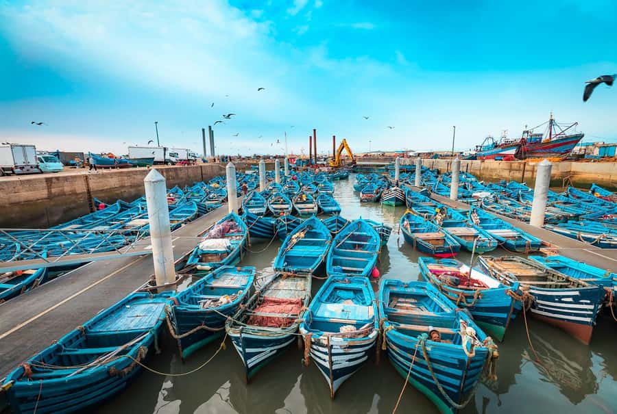 Essaouira: Surf Trip from Marrakech - Why the Marrakech to Essaouira run is worth your day