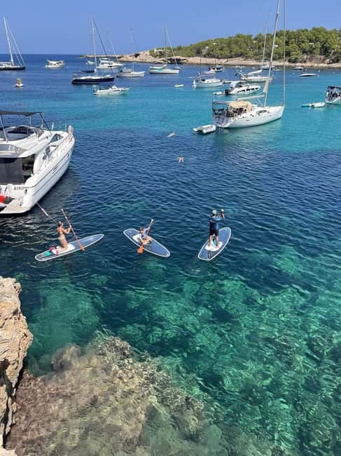 Experience Crystal paddle surf Tours + snorkel - Why the transparent board changes the experience