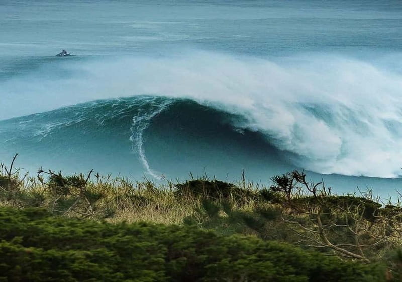 From Lisbon: Nazaré – Portugal’s Giant Waves Surf Tour - The sanctuary and the stories behind Nazaré