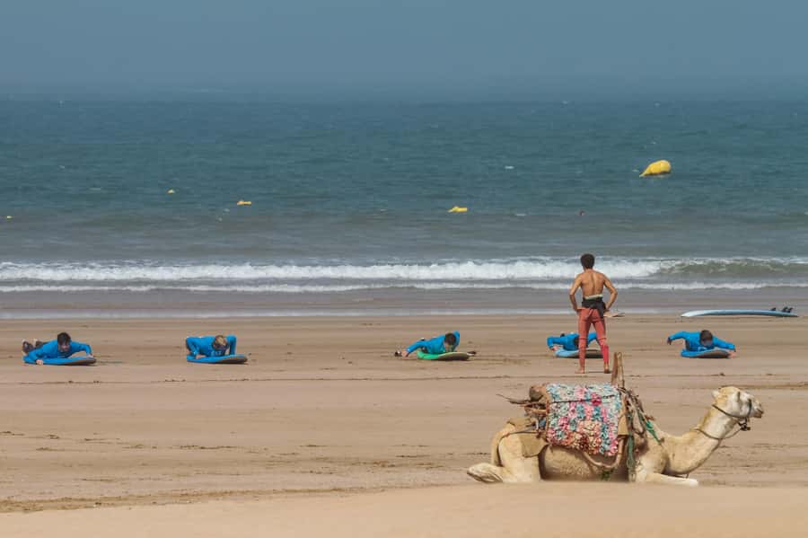 From Marrakesh: Essaouira Surfing Day Trip - Your first two hours on the beach