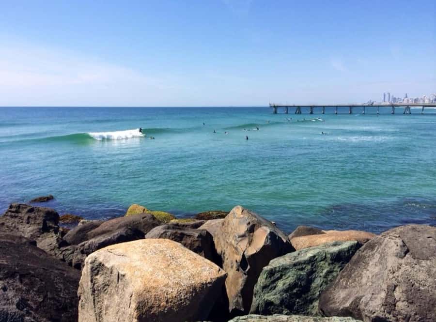 Gold Coast: Private Surf Lesson at The Spit - Key points at a glance