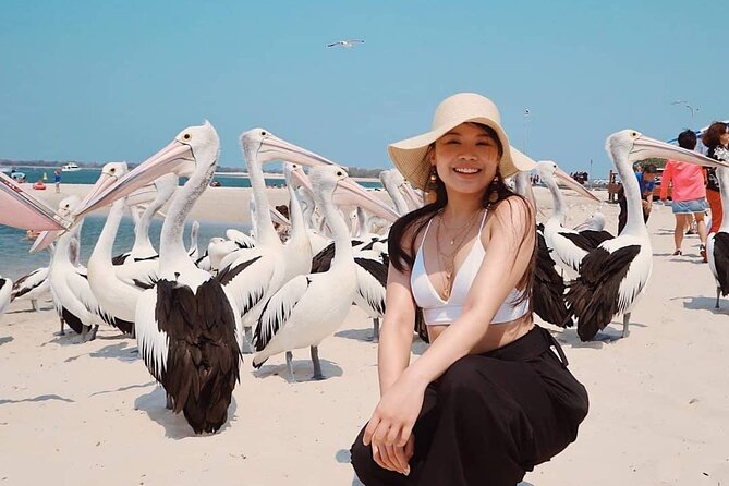Gold Coast Surfer's Paradise Private Tour from Brisbane - Why this private Gold Coast day works well