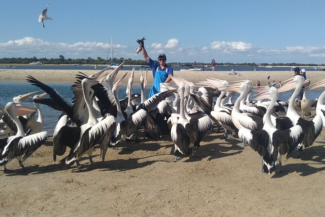 Gold Coast Surfer's Paradise Private Tour from Brisbane - Yatala Pie Shop: a very Australian road stop