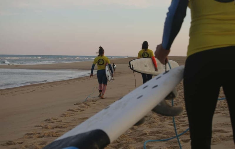 Hossegor: Surf Coaching - Learning to read the ocean, not just stand up