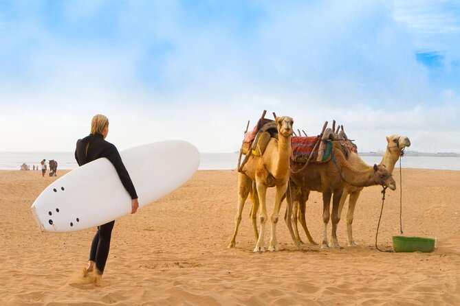 Initiation Group Surf - Key points before you book
