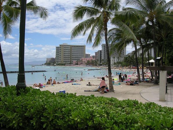 Kayak, Snorkel, and Surf with Turtles in Honolulu - Key points at a glance