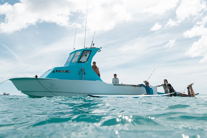 Kayak, Snorkel, and Surf with Turtles in Honolulu - Three ways to meet Waikiki’s water