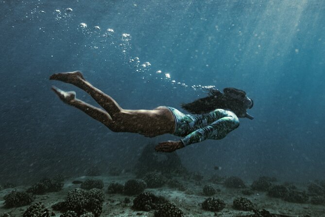 Kayak, Snorkel, and Surf with Turtles in Honolulu - A 20-minute look at a shipwreck