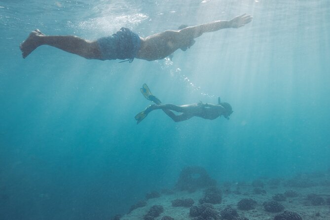 Kayak, Snorkel, and Surf with Turtles in Honolulu - One hour to learn the basics of surfing