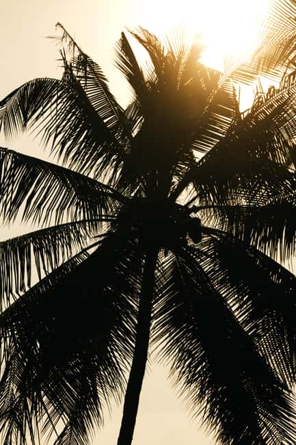 Khao Lak: 1.5-Hour Small Group Surfing Experience - Timing, conditions, and the one real complaint