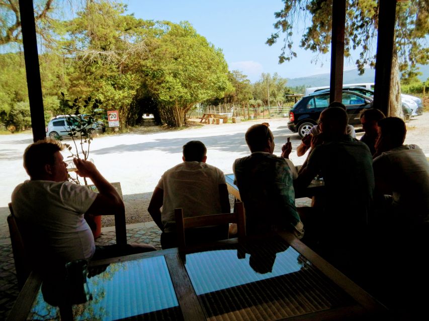 Lisbon: Surf or Bodyboard and Wine Tasting - What the strong feedback tells you