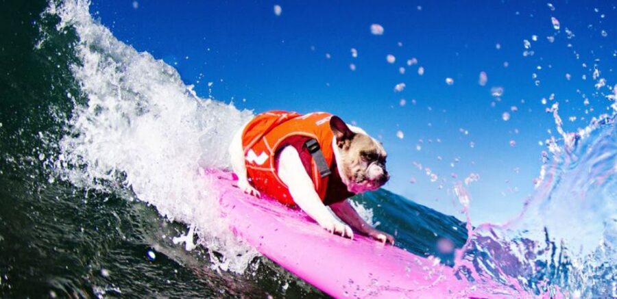 Los Angeles: Surfing Lesson in Venice Beach - Getting suited up for Venice Beach