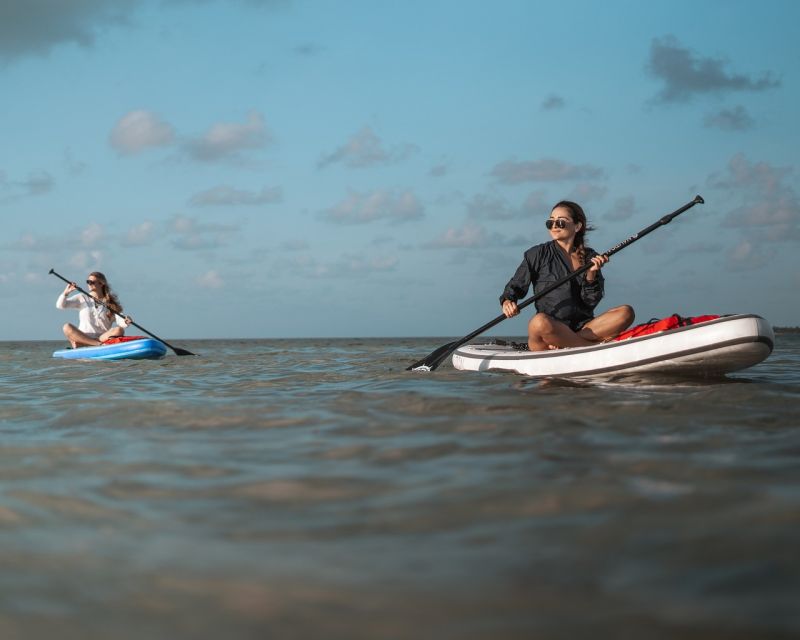 Los Cristianos : 1 Hour of Paddle surf Rental - Who should choose this rental?