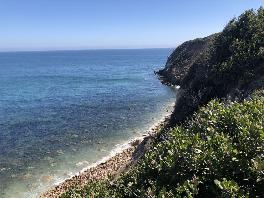 Malibu Beach: Surf Tour in a Vintage VW Van - Photos, wildlife, and the unhurried parts