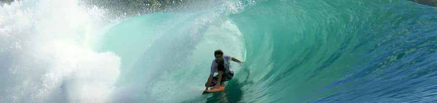 Malibu: Surf Lessons for All Levels - What the five-star feedback tells you