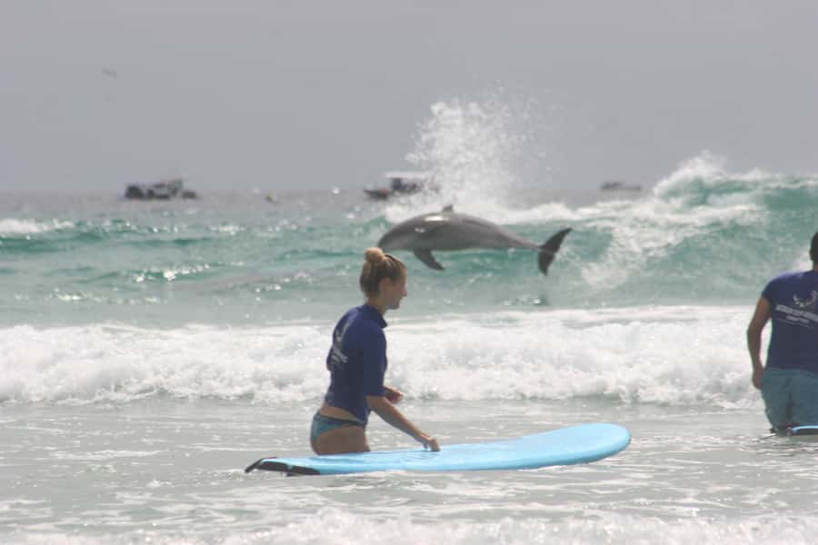 Miami: Group Surf Lesson - Meeting the Surf Van at Tallebudgera