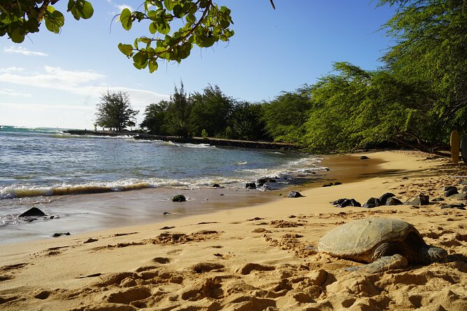 North Shore Surfing Lessons Oahu Hawaii - What the $120 price includes