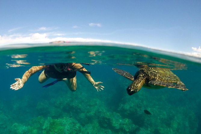 Paddle, Snorkel and Learn to Surf: All in a Day on Maui - Key points before you book