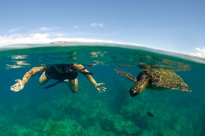 Paddle, Snorkel and Learn to Surf: All in a Day on Maui - Makena Landing, kayaks, and reef views