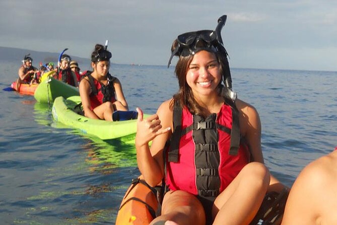 Paddle, Snorkel and Learn to Surf: All in a Day on Maui - Forty-five minutes of snorkeling with turtles