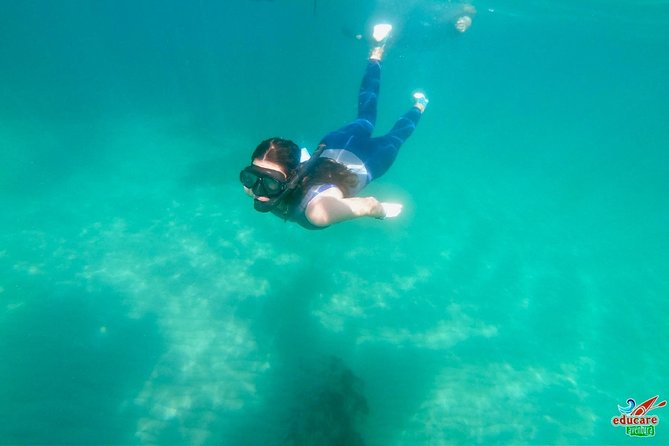 Paddle Surf Route Cliffs Nerja and Cascada de Maro + Snorkel - Caleta de Maro: A Break in the Route