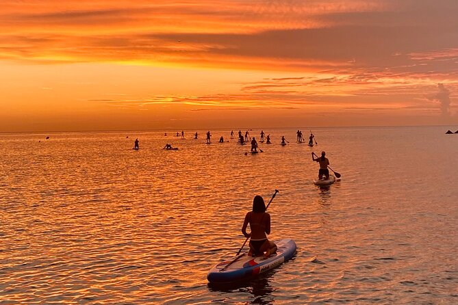 Paddle Surfing in Barcelona - One hour on the water near the W Hotel