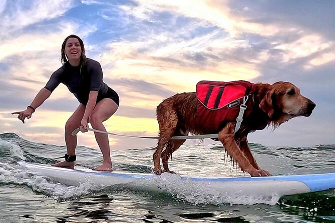Private 1-on-1 Surf Lesson with Videos and Photos - Diamond Head, Waikiki, Honolulu, and Oahu
