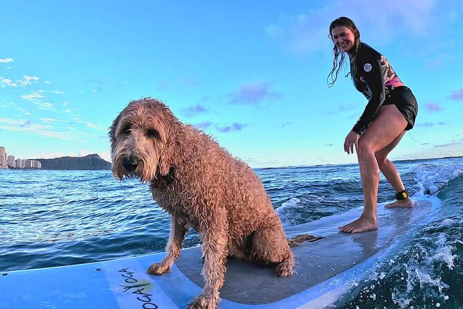 Private 1-on-1 Surf Lesson with Videos and Photos - Photos and videos add real value