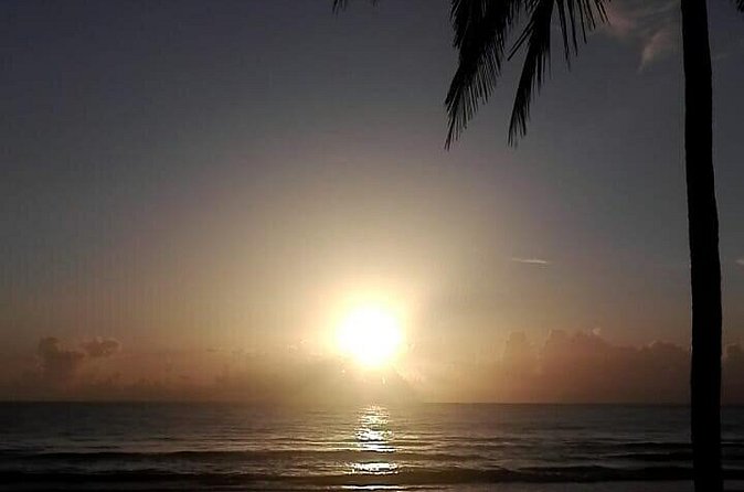 Professional surf lessons Dominican Republic, Cabarete, Encuentro - Bobo’s teaching style and why it matters