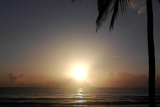 Professional surf lessons Dominican Republic, Cabarete, Encuentro - The 8:00 a.m. start and what it means