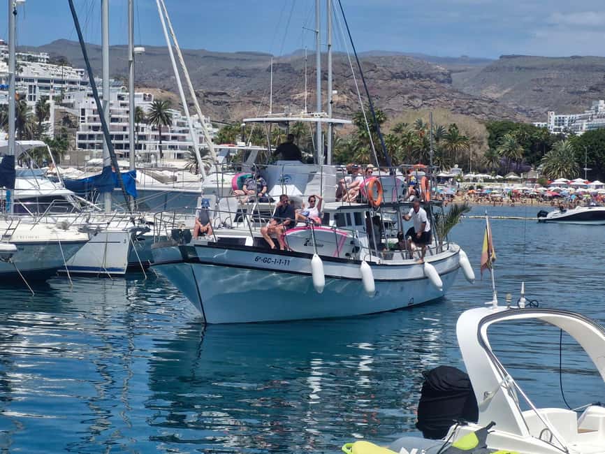 Puerto Rico, Gran Canaria: boat trip, drinks, food, paddle surfing, snorkeling - How the four hours usually feel