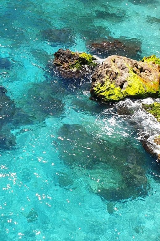 Ruta libre en paddel surf por la cascada de Nerja y Maro 😍 - What this Nerja paddleboard outing is really like