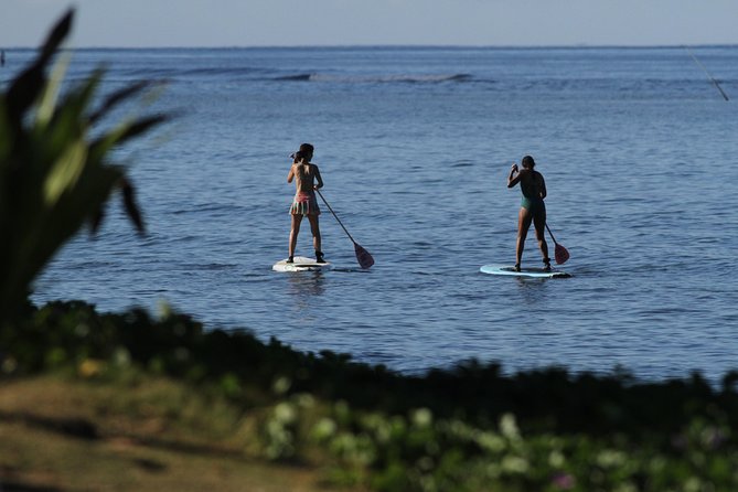 Semi-Private Surf Lesson - 3 Students 1 Instructor - Why the land lesson matters