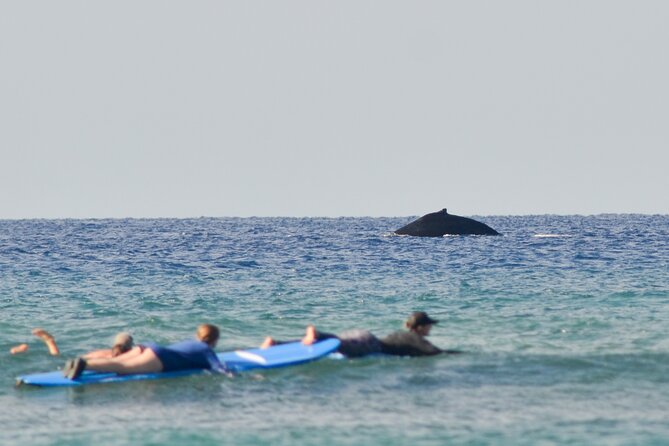 Semi Private Surf Lessons with Experienced Coaches - Key points to know before booking