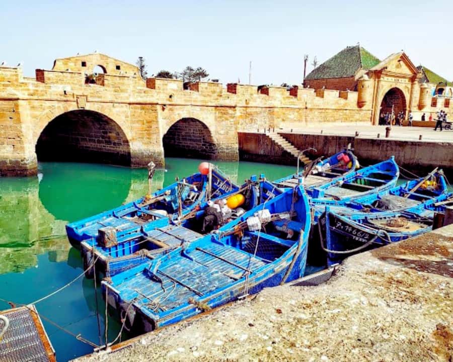 Surf Training and Lunch on Essaouira Day Trip from Marrakech - Who should book this Essaouira surf trip?