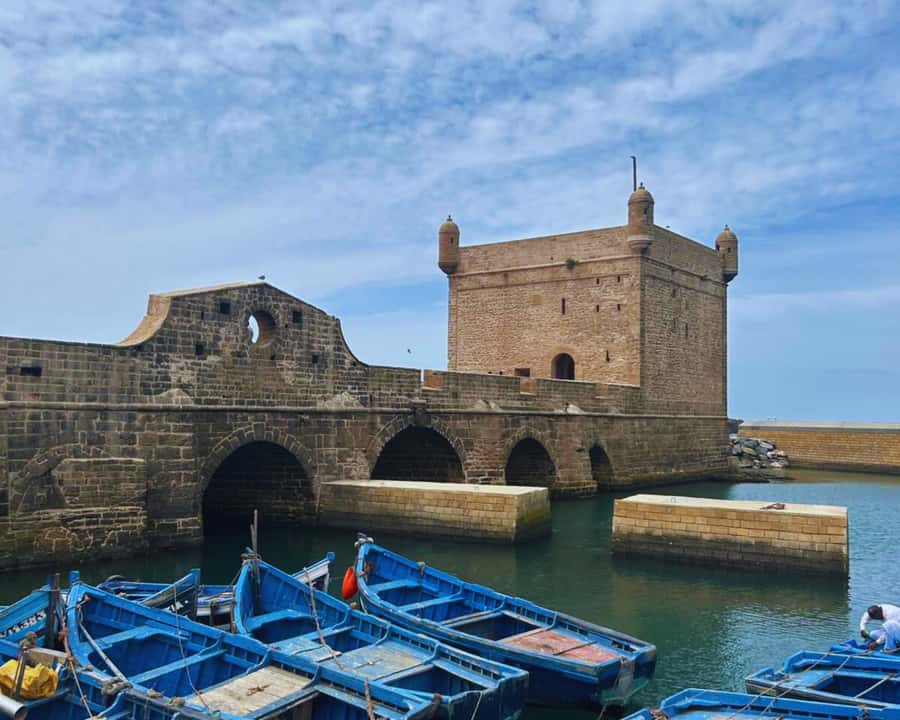 Surf Training and Lunch on Essaouira Day Trip from Marrakech - Exploring the medina with several free hours