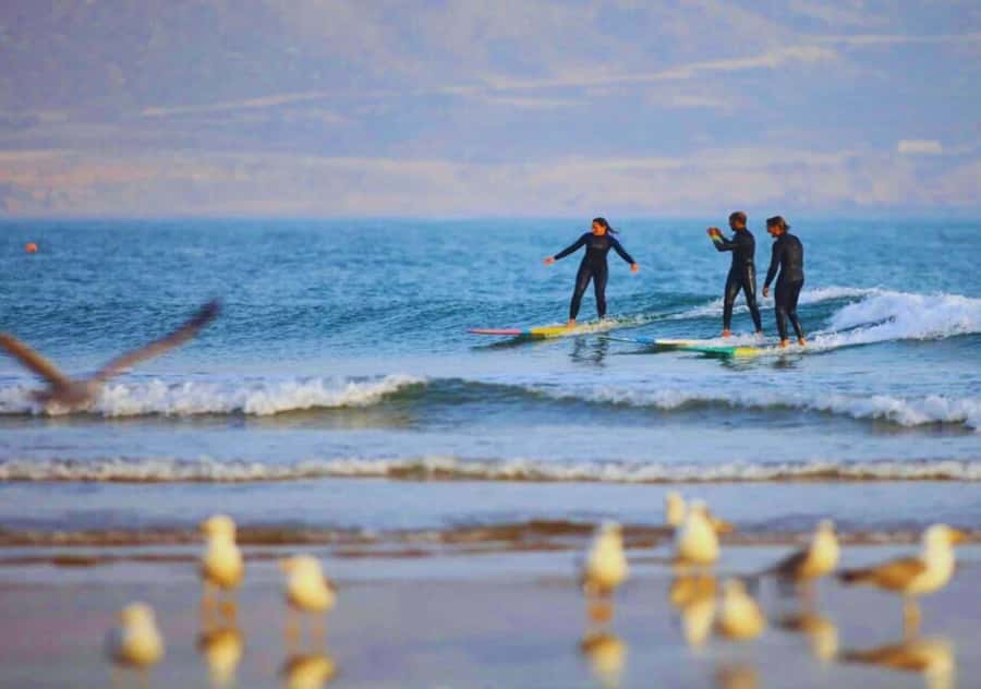 Surf Training and Lunch on Essaouira Day Trip from Marrakech - Guides, drivers, and the value of personal help