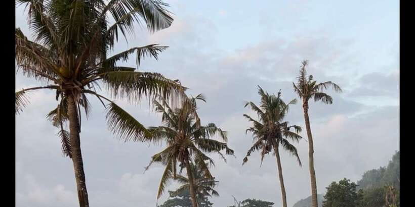 SURFA BALI curated surf lesson + trip to spots (Beg. & Int.) - Later days: from standing up to riding a wave