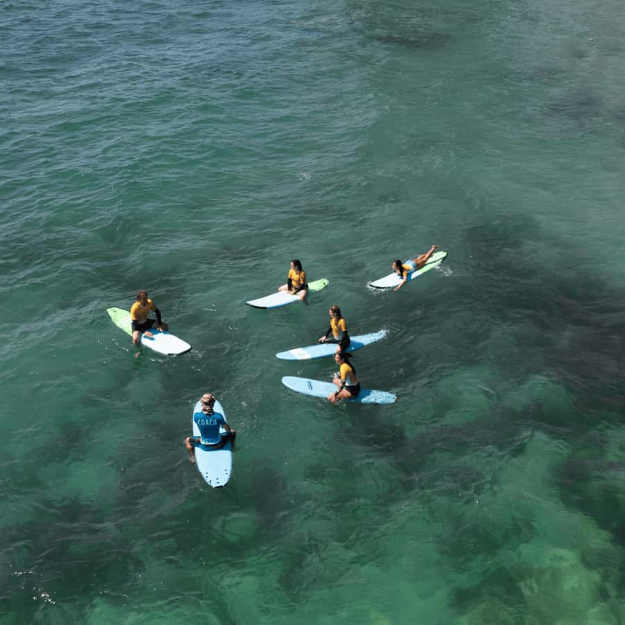 Sydney: Dee Why Beach Group Surfing Lesson - Paddling, popping up, and catching a first wave