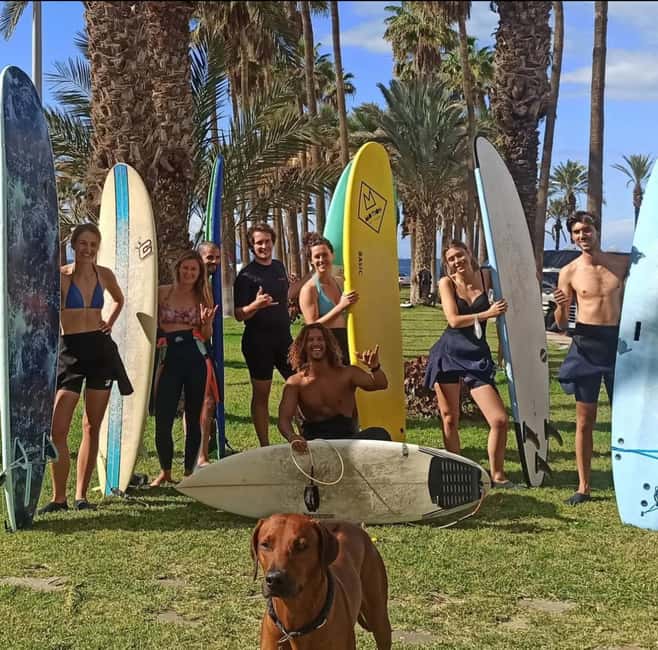 Tenerife: Paddle Surf Experience in Playa de las Américas - Meeting at Avenida Rafael Puig Lluvina